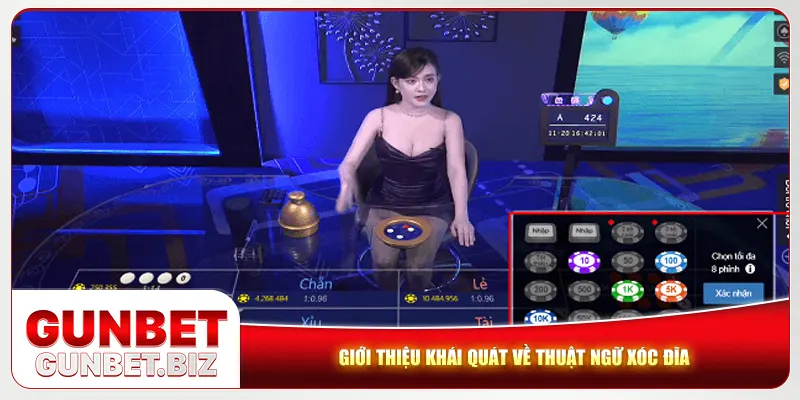 Giới thiệu khái quát về thuật ngữ xóc đĩa