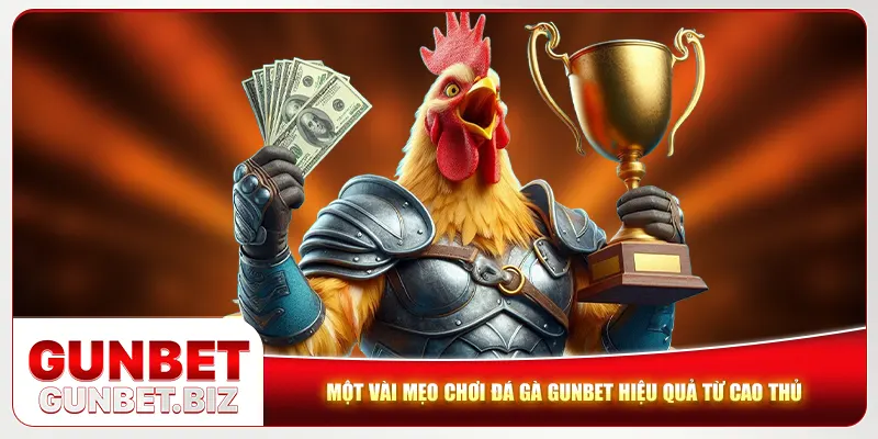 Một vài mẹo chơi đá gà Gunbet hiệu quả từ cao thủ